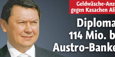 114 Mio. bei Austro-Banken reingewaschen