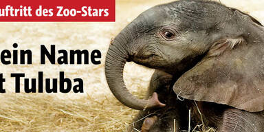 Mein Name ist Tuluba