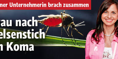 Im Koma nach Gelsenstich