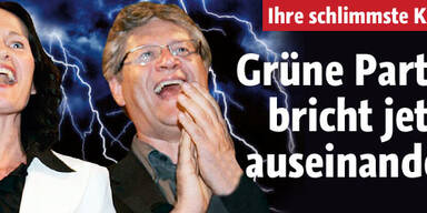 Revolte bei den Grünen