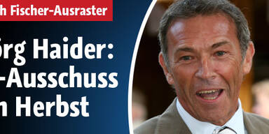 Haider: U-Ausschuss im Herbst