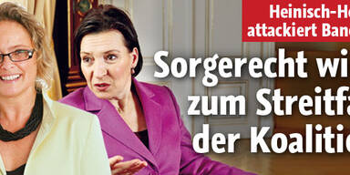 Sorgerecht wird zum Streitfall