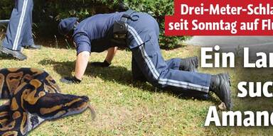 Ein Land sucht Boa Constrictor Amanda