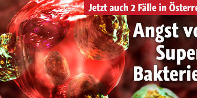 Österreich in Angst vor Superbakterien