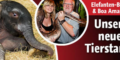 Österreich liebt seine neuen Tier-Stars