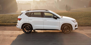 Cupra vom Start weg erfolgreich