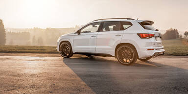 Cupra vom Start weg erfolgreich