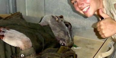 Bislang unbekannte Abu Ghraib-Fotos aufgetaucht