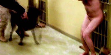 Bislang unbekannte Abu Ghraib-Fotos aufgetaucht
