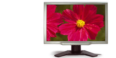 acer al 2423w