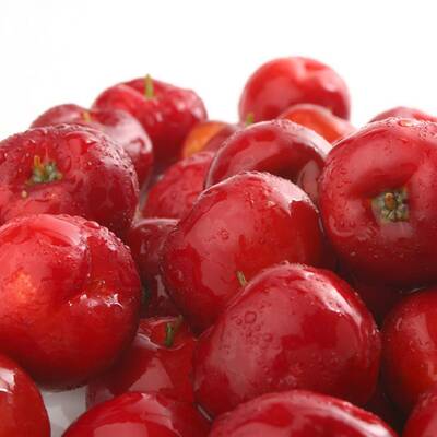 Austern haben einen hohen Anteil von Zink. Zink moduliert das bei Allergien fehlgeleitete Immunsystem.