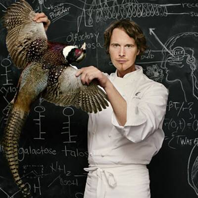 Felisa Wolfe-Simon, Wissenschaftlerin