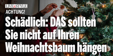 Achtung, schädlich: DAS sollten Sie nicht auf Ihren Weihnachtsbaum hängen