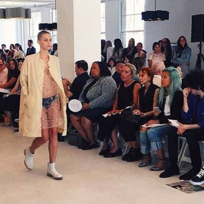 Eines der ersten Fotos ohne Mähne