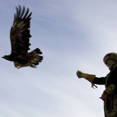 Adlerjagd in Kasachstan