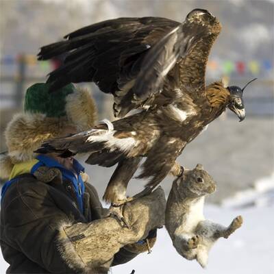 Adlerjagd in Kasachstan