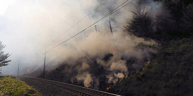 Waldbrand im Gesäuse-Eingang