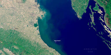 Schock: Algenbl&uuml;te verseucht Urlaubsparadies