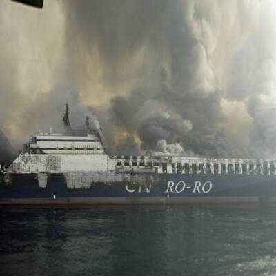 Umweltkatastrophe in der Adria