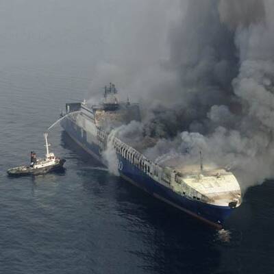 Umweltkatastrophe in der Adria