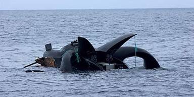 Boot der Tierschützer gesunken