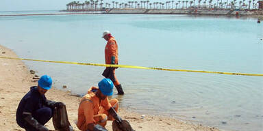 Neue Öl-Pest versaut
unsere Ferien