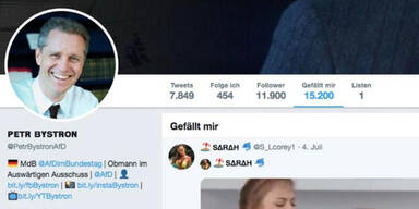 AfD-Politiker gef&auml;llt Twitter-Porno