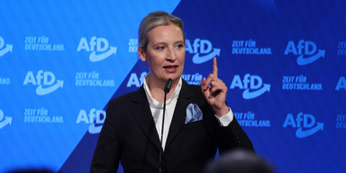 AfD erreicht erstmals 25 Prozent in Umfrage