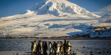 Heard und McDonaldinseln