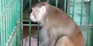 Lebenslang f&uuml;r betrunkenen Amok-Affen