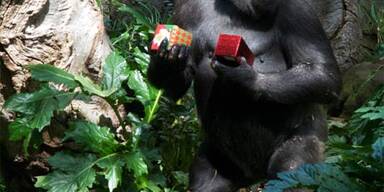 So feiert die Welt Weihnachten