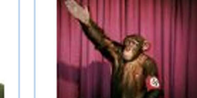 BZÖ-Homepage gehackt