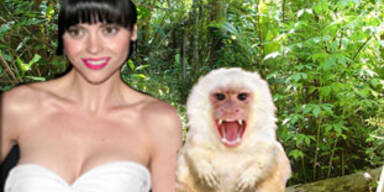 affenattacke