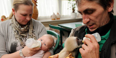 Affenbaby w&auml;chst mit Menschenbaby auf