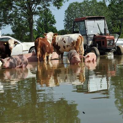 Die Katastrophe in Bildern