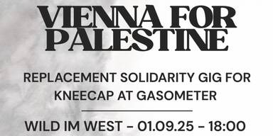 Vienna for Palestine