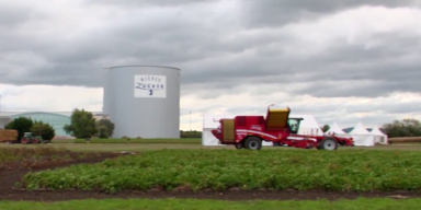 &Ouml;sterreichischer Zuckerriese verliert bis zu 55 Millionen Euro