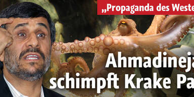 Ahmadinejad schimpft auf WM-Krake Paul