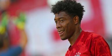 Flick lobt Alaba &uuml;ber gr&uuml;nen Klee