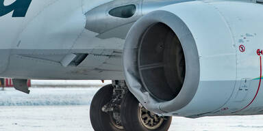 Flugzeug t&ouml;tet B&auml;ren-Mutter bei der Landung