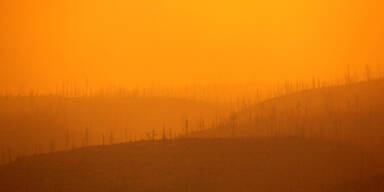 Feuersbrunst bedroht US-Atomlabor