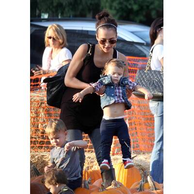 Kürbis-Mania in Hollywood