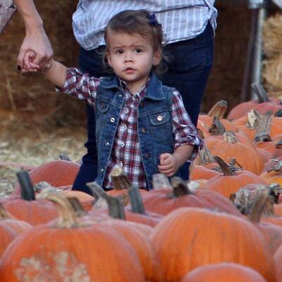 Kürbis-Mania in Hollywood