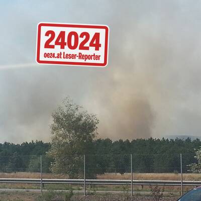 20 Hektar Wald stehen in Vollbrand