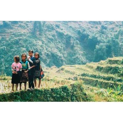 Die neuesten Urlaubsfotos