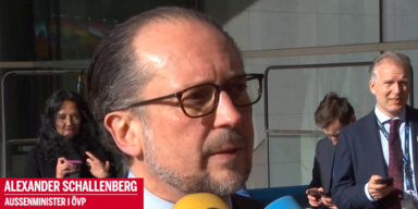 alexander schallenberg.png