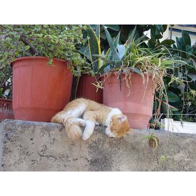 Die neuesten Urlaubsfotos