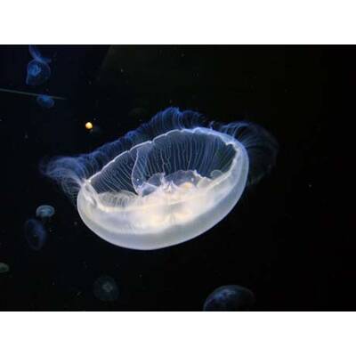 Die neuesten Urlaubsfotos