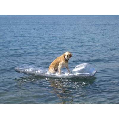 Alle lustigen Urlaubsfotos