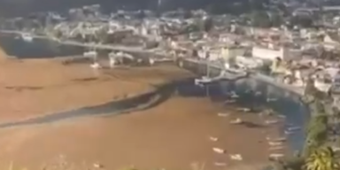 Von wegen t&uuml;rkiser Traumstrand: Karibik versinkt in Algen